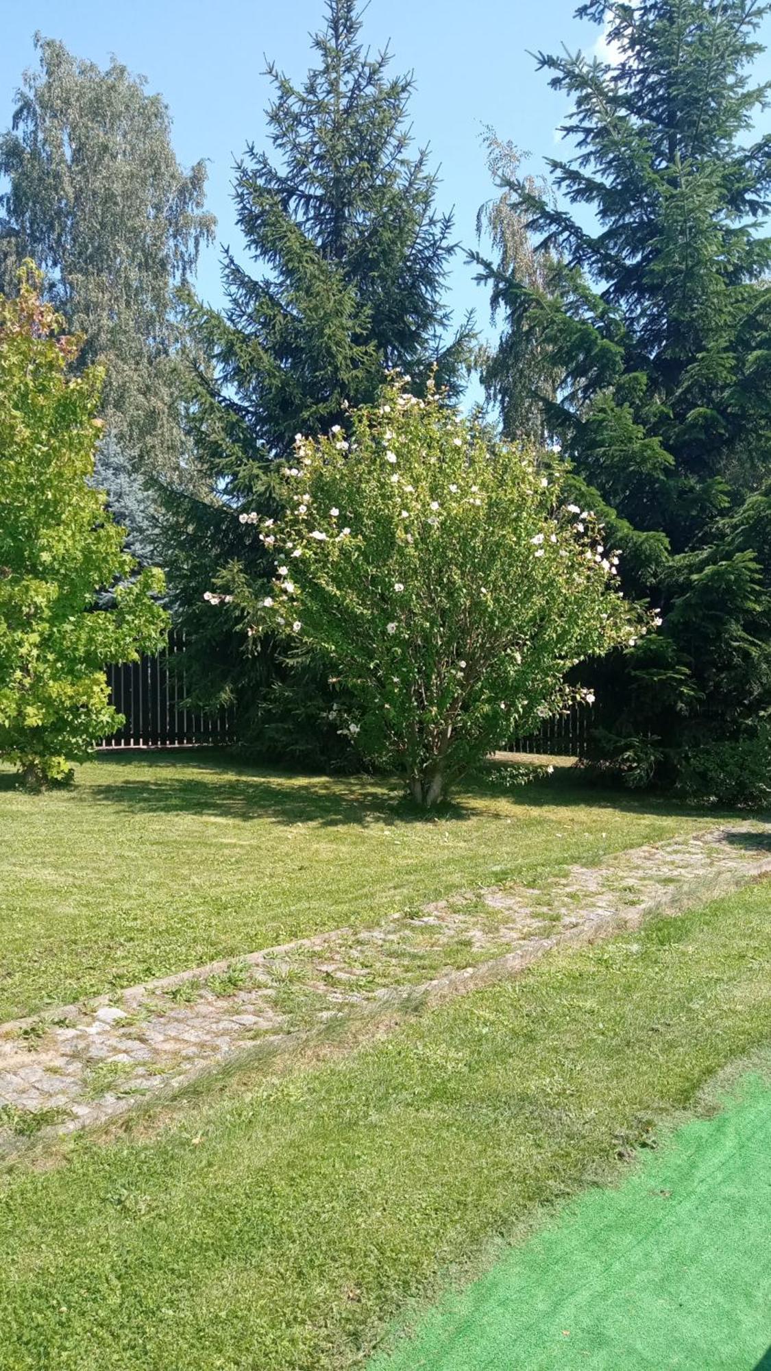 Chata Lazne Evzenie Klasterec Nad Ohri Exterior photo